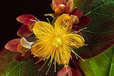 《战地2042》全新实机视频展示危险地带＆征服模式